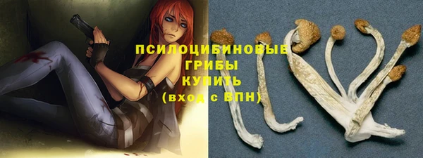 мет Горняк
