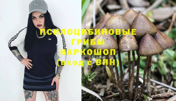 мет Горняк
