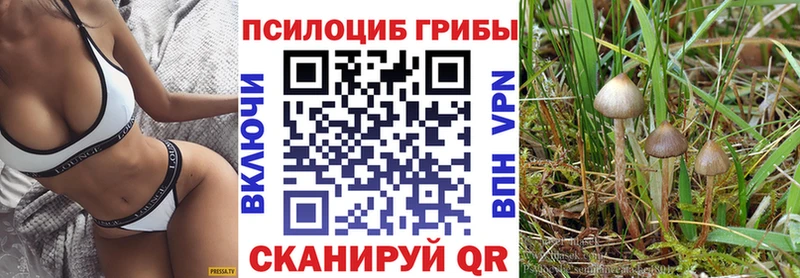 Купить закладки  Печора  Псилоцибиновые грибы Psilocybe 