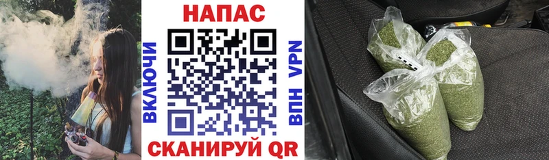 Купить где  Печора  Бошки марихуана гибрид 